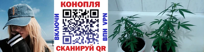 Виды наркотиков купить Балей Амфетамин  ГАШИШ  А ПВП  Бошки Шишки  Кокаин 