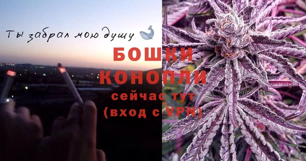 дживик Белоозёрский