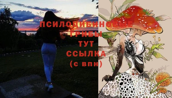 COCAINE Белокуриха