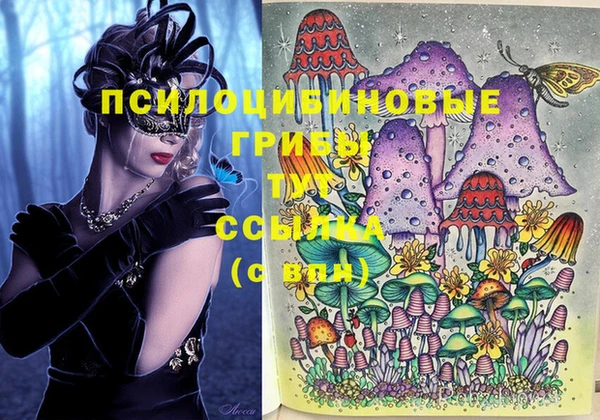 спайс Беломорск