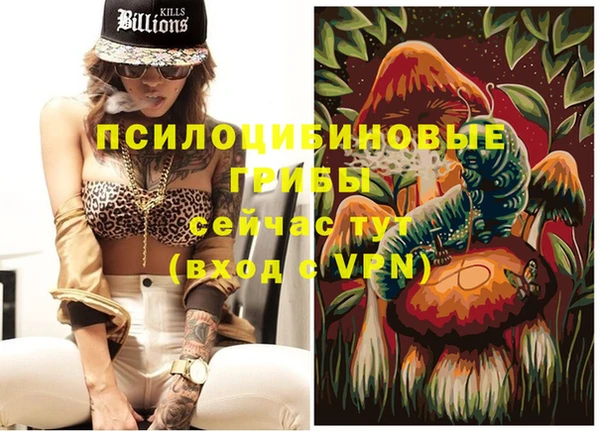 спайс Беломорск