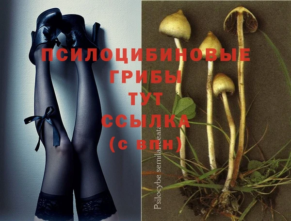 дживик Белоозёрский